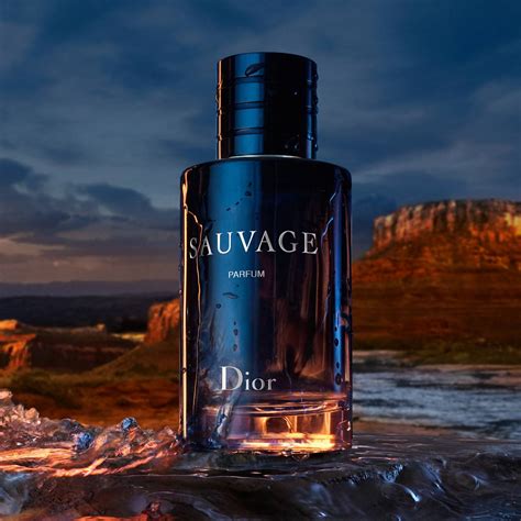 sauvage dior parfem|dior sauvage 100ml perfume shop.